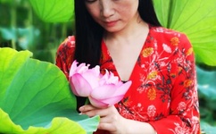 在线高清免费不卡全码